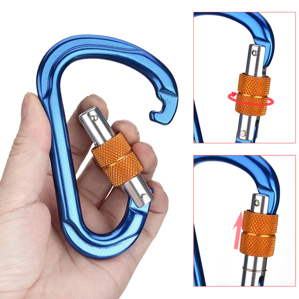 Screw Gate D-Shaped Locking